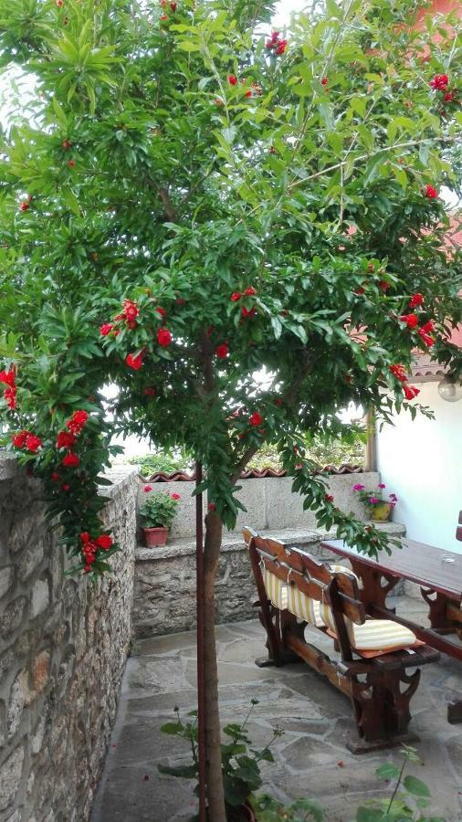 Regina'S Guesthouse Balchik Luaran gambar